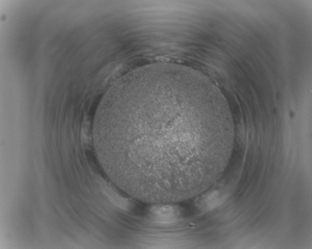 X0000065260181200602242124