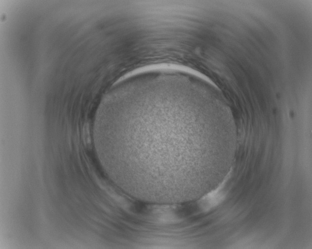 X0000065260182200602242124