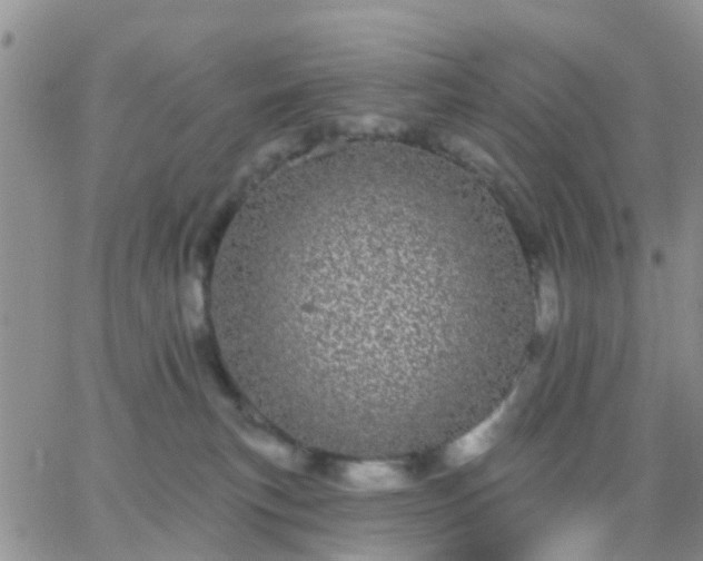 X0000065260183200602242124