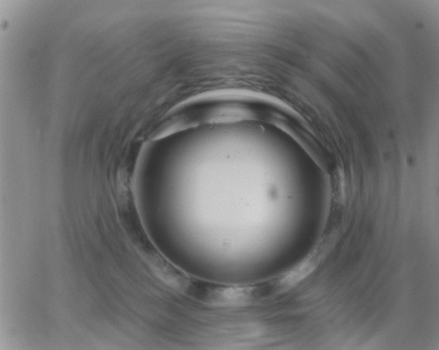 X0000065260184200602242124