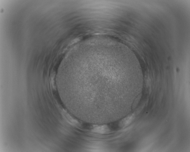 X0000065260185200602242124