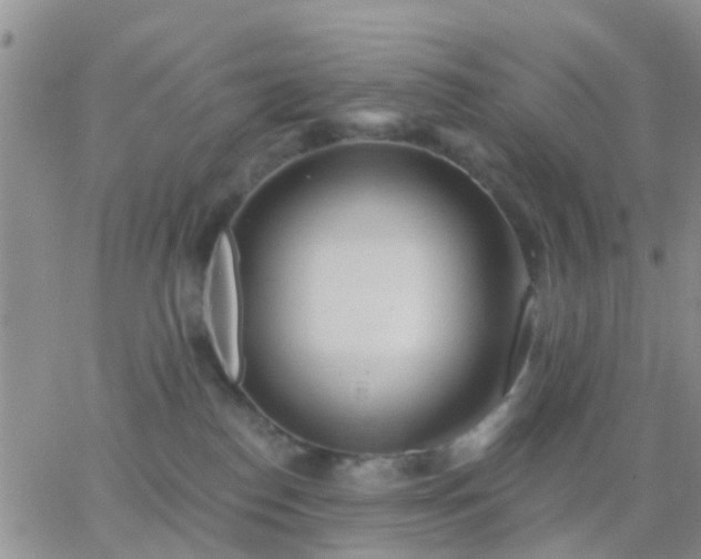 X0000065260186200602242124