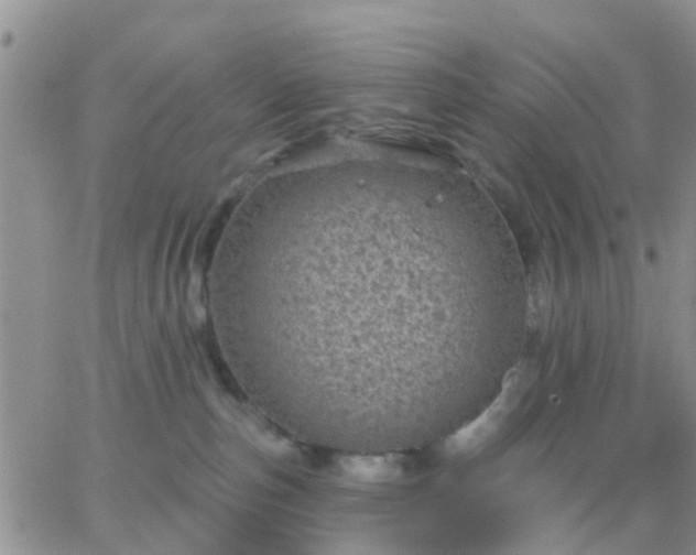 X0000065260187200602242124