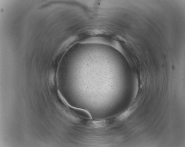 X0000065260188200602242124