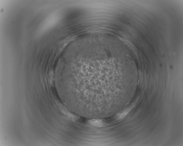 X0000065260189200602242124