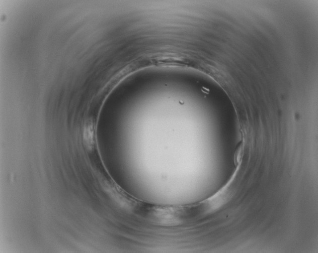 X0000065260190200602242124