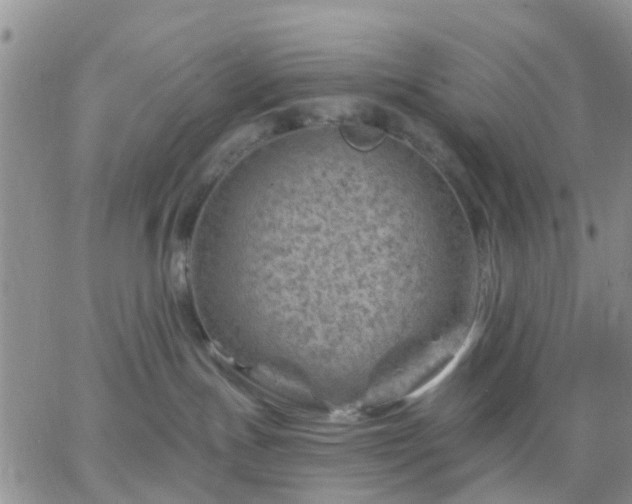 X0000065260191200602242124