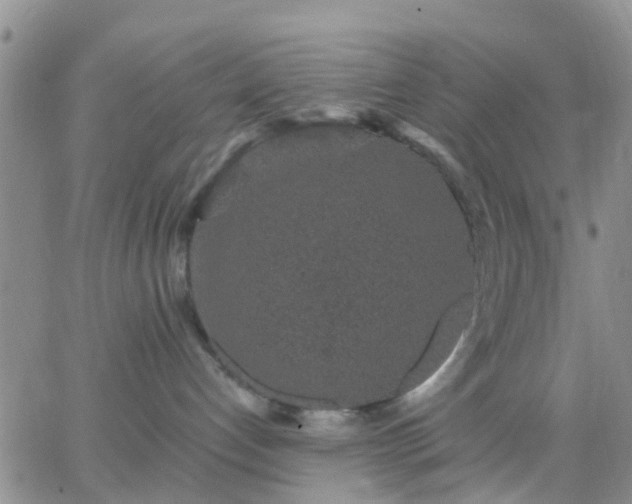 X0000065260192200602242124