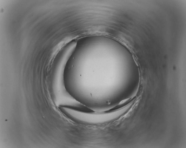 X0000065260193200602242123