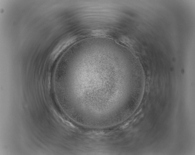 X0000065260194200602242123