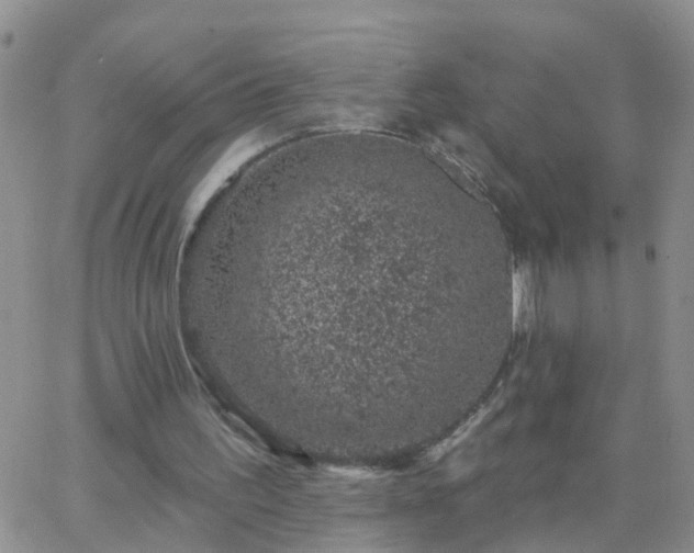 X0000065260195200602242123