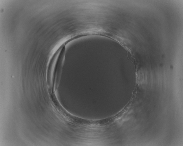 X0000065260196200602242123