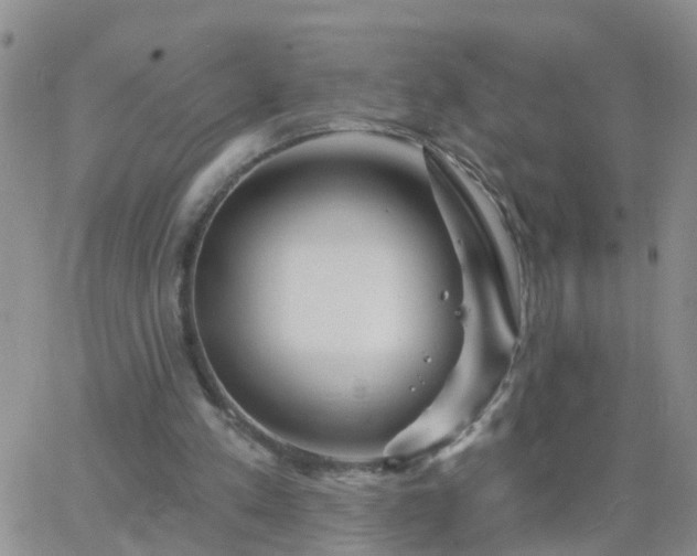 X0000065260197200602242123