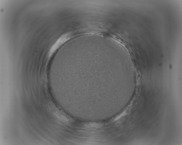 X0000065260198200602242123