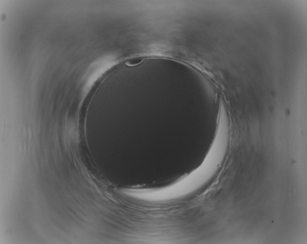 X0000065260200200602242123