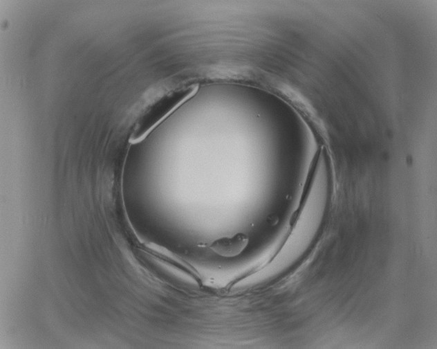 X0000065260201200602242123