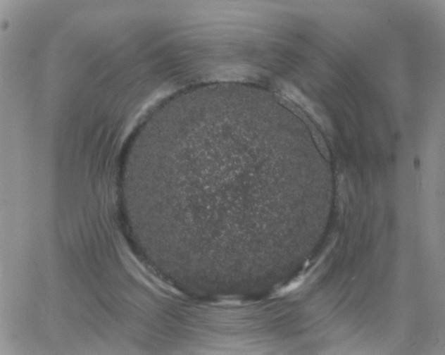 X0000065260203200602242123