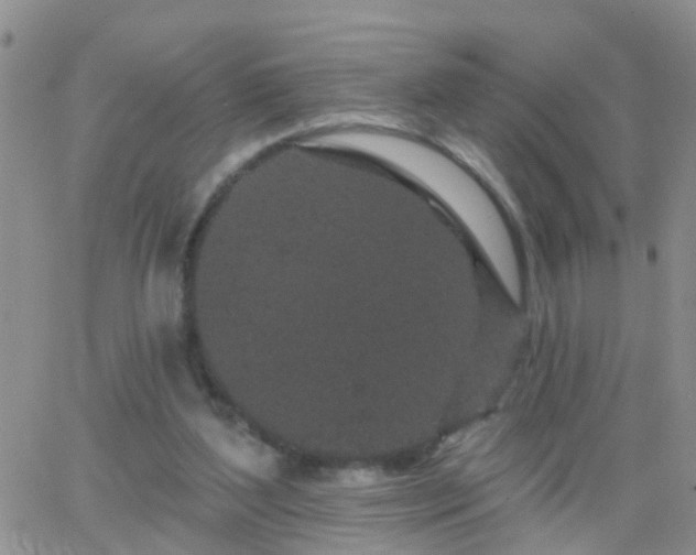 X0000065260204200602242123