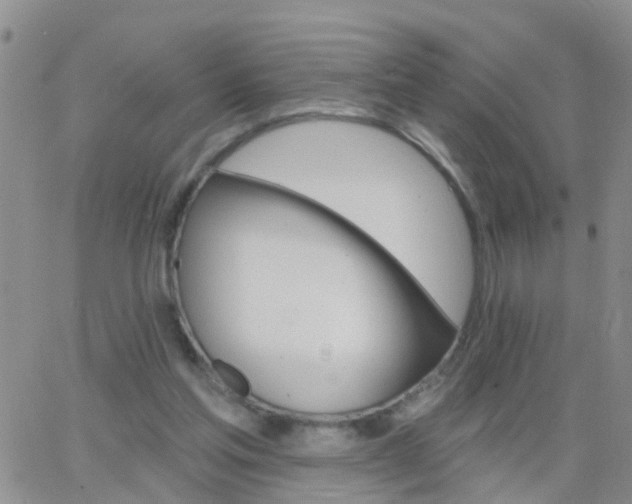 X0000065260205200602242123