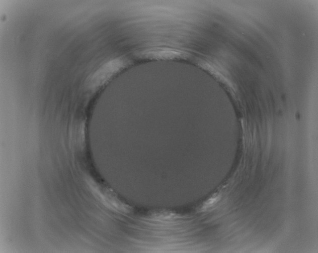 X0000065260206200602242123