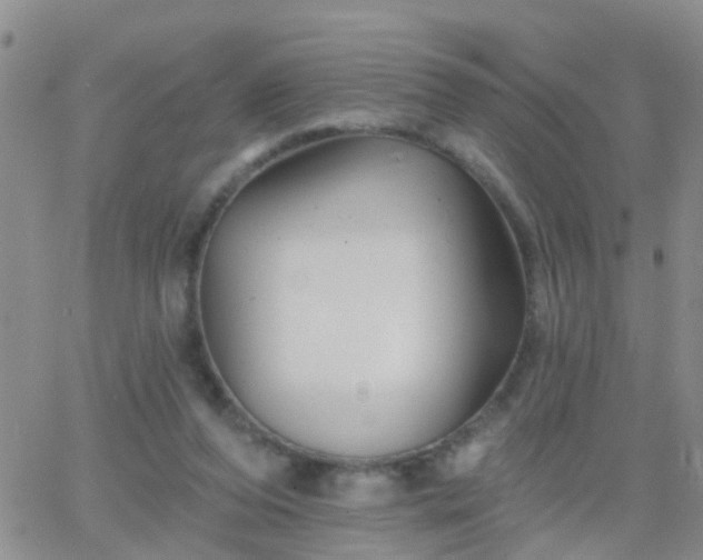 X0000065260208200602242123