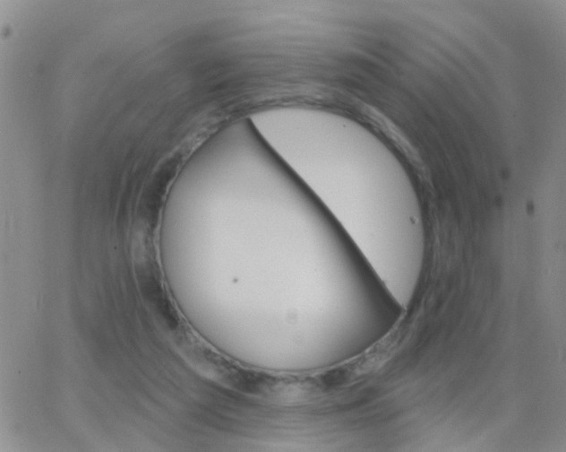 X0000065260209200602242123