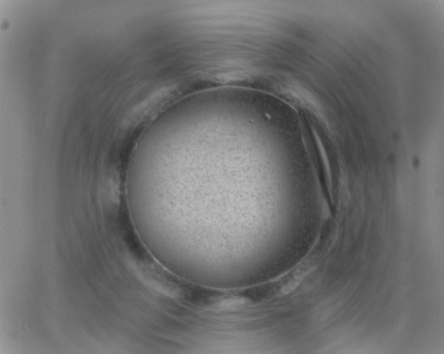 X0000065260210200602242123