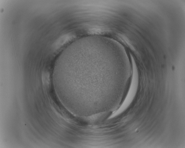 X0000065260211200602242123