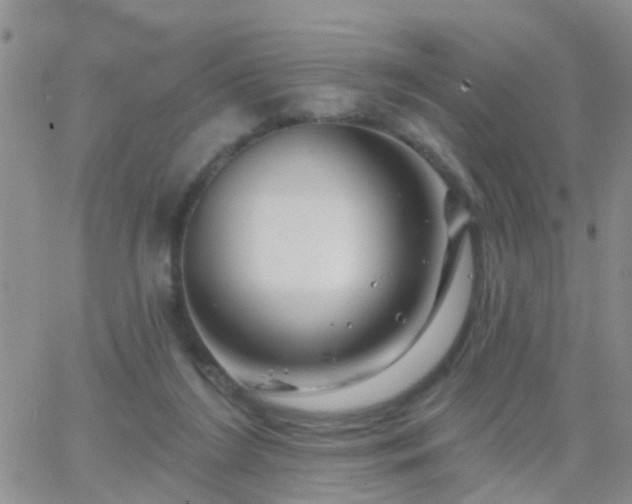 X0000065260212200602242123