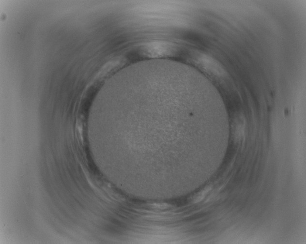 X0000065260214200602242123