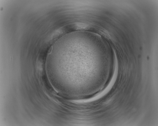 X0000065260215200602242123