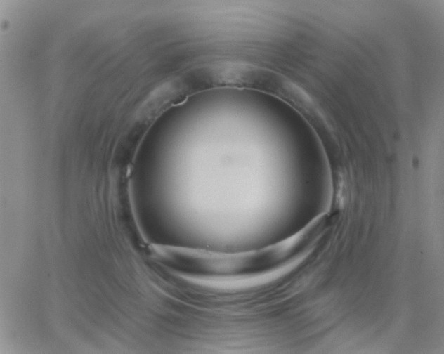 X0000065260217200602242123