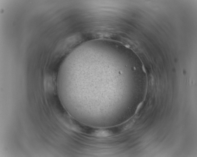 X0000065260218200602242123