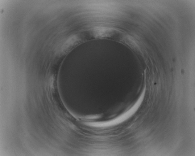 X0000065260219200602242123