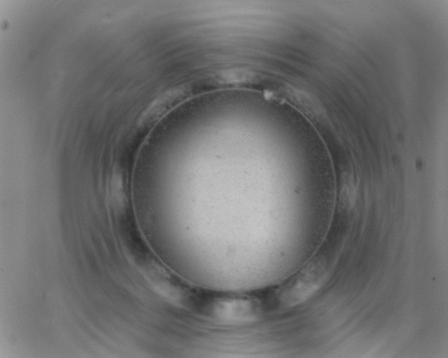 X0000065260220200602242123