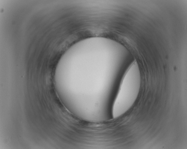 X0000065260221200602242123