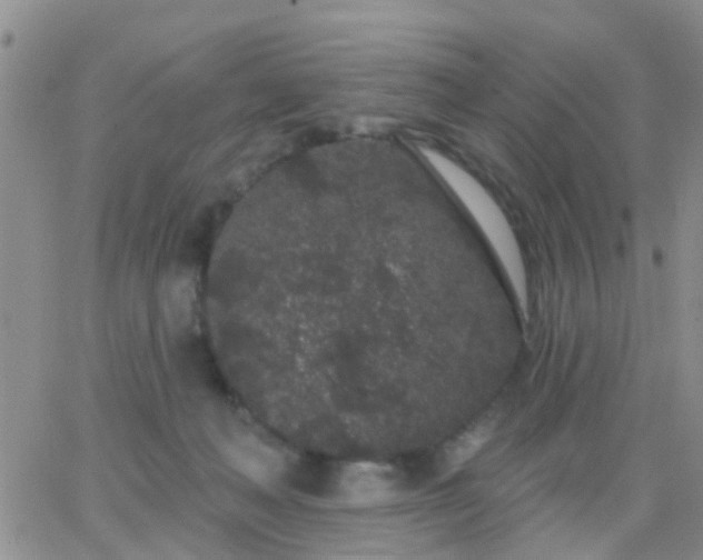 X0000065260222200602242123