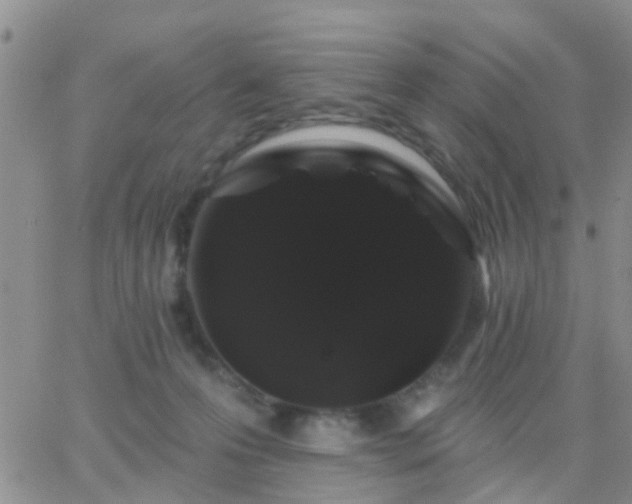 X0000065260223200602242123