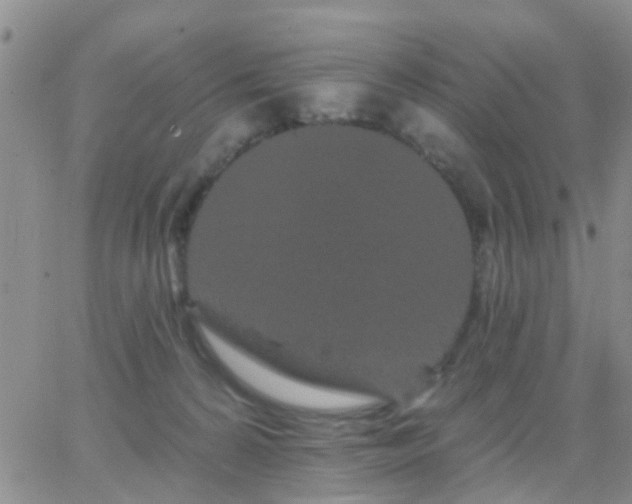 X0000065260224200602242123