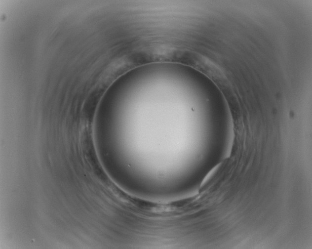 X0000065260225200602242123