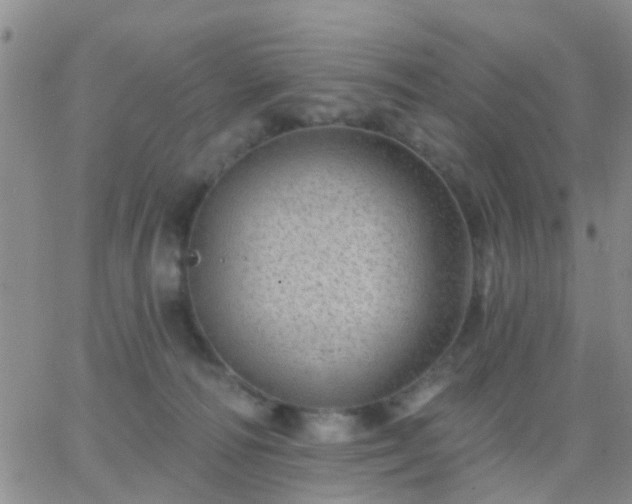 X0000065260226200602242123