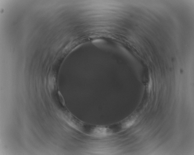 X0000065260227200602242123