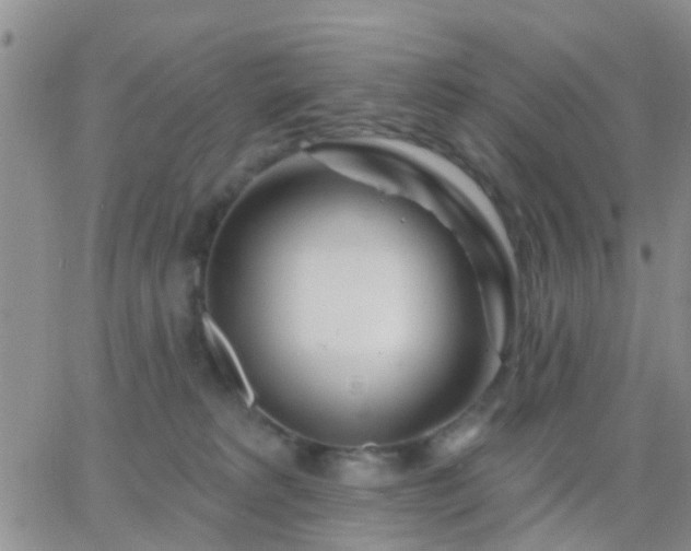 X0000065260229200602242123