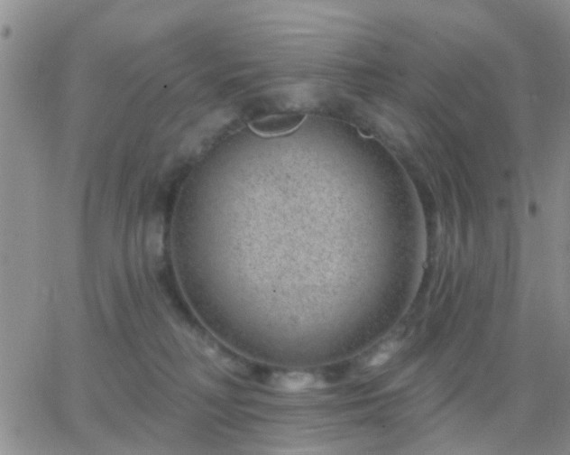 X0000065260230200602242123