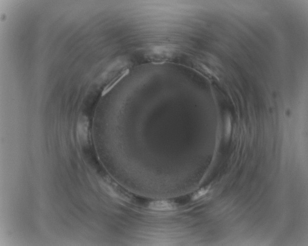 X0000065260231200602242123