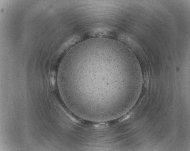 X0000065260232200602242123