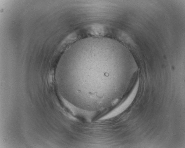 X0000065260233200602242123