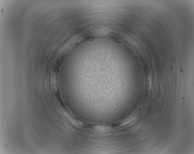 X0000065260234200602242123