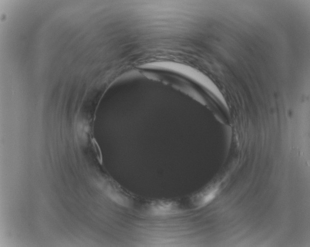 X0000065260235200602242123