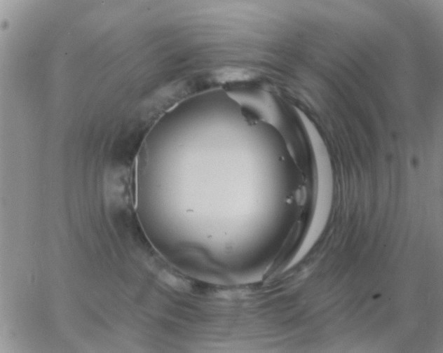 X0000065260237200602242122